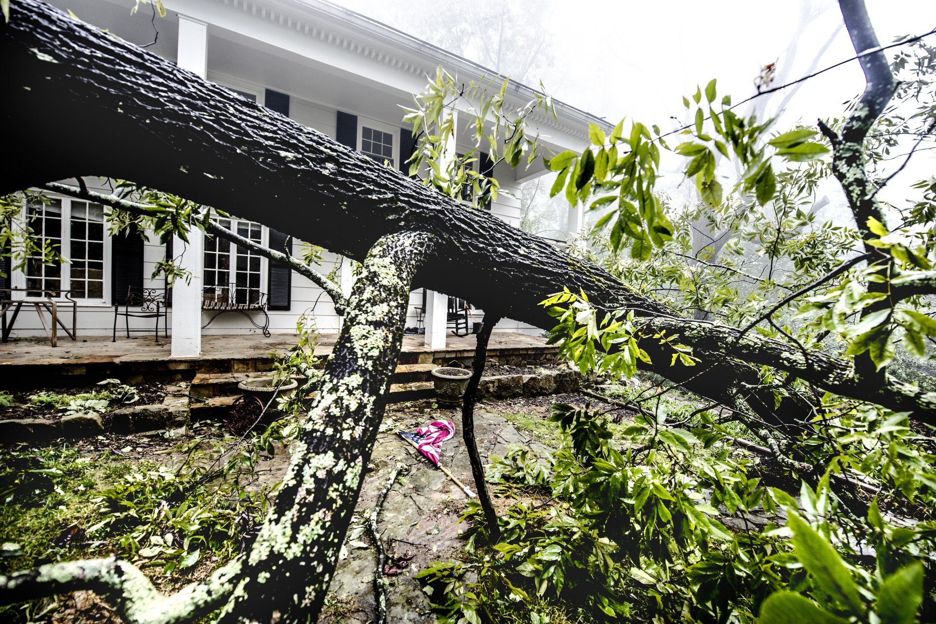 Fallen tree after storm | Columbus, GA | Ron's Tree Service LLC