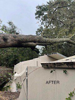 Removed fallen tree on roof | Columbus, GA | Ron's Tree Service LLC