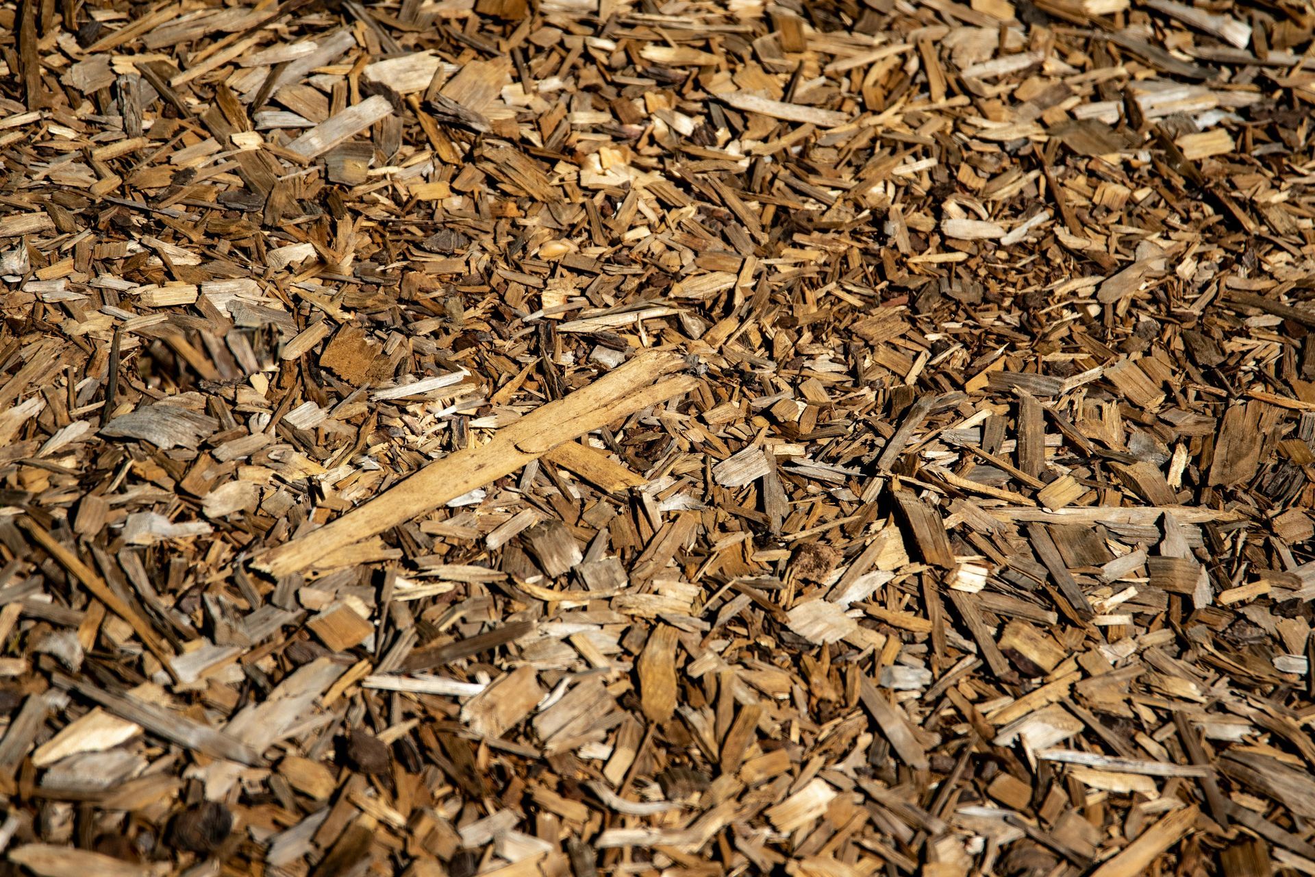 Close-up of brown wood chips and mulch covering the ground