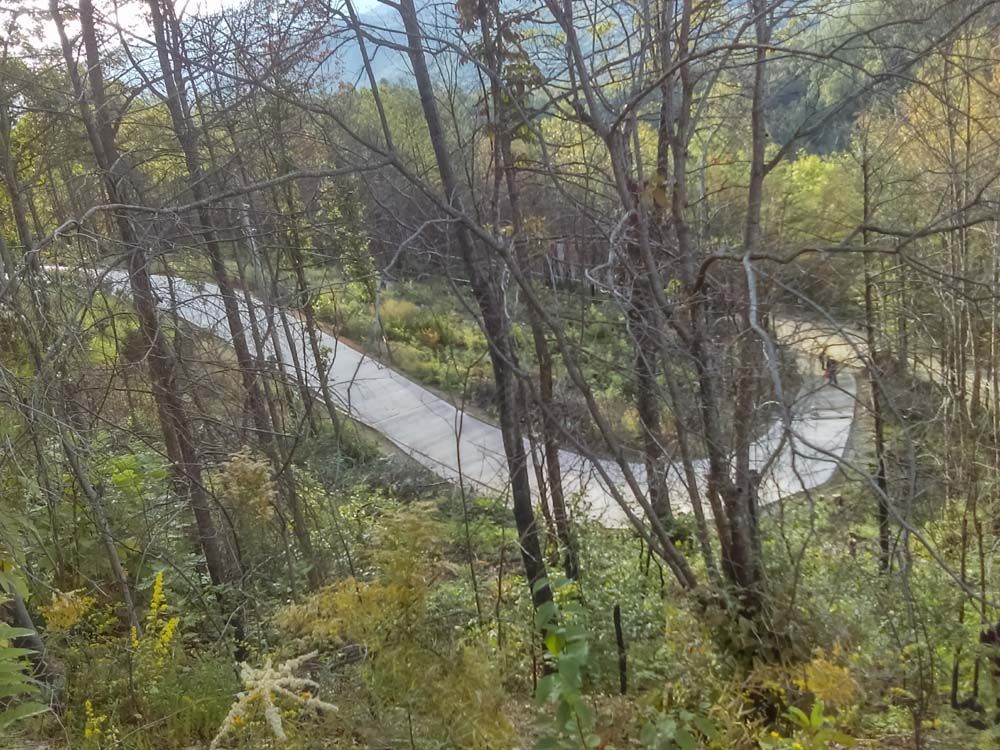 Winding asphalt road curves through a forest, surrounded by trees and green/yellow foliage, likely a mountain pass.