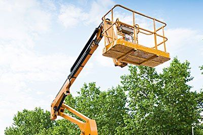 bucket truck for trimming trees
