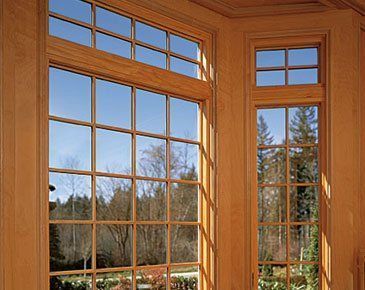 Wood-framed corner windows with a view of trees and blue sky