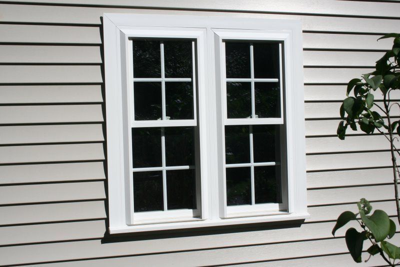 White double-hung window with black trim on light gray siding, partly framed by leafy branches