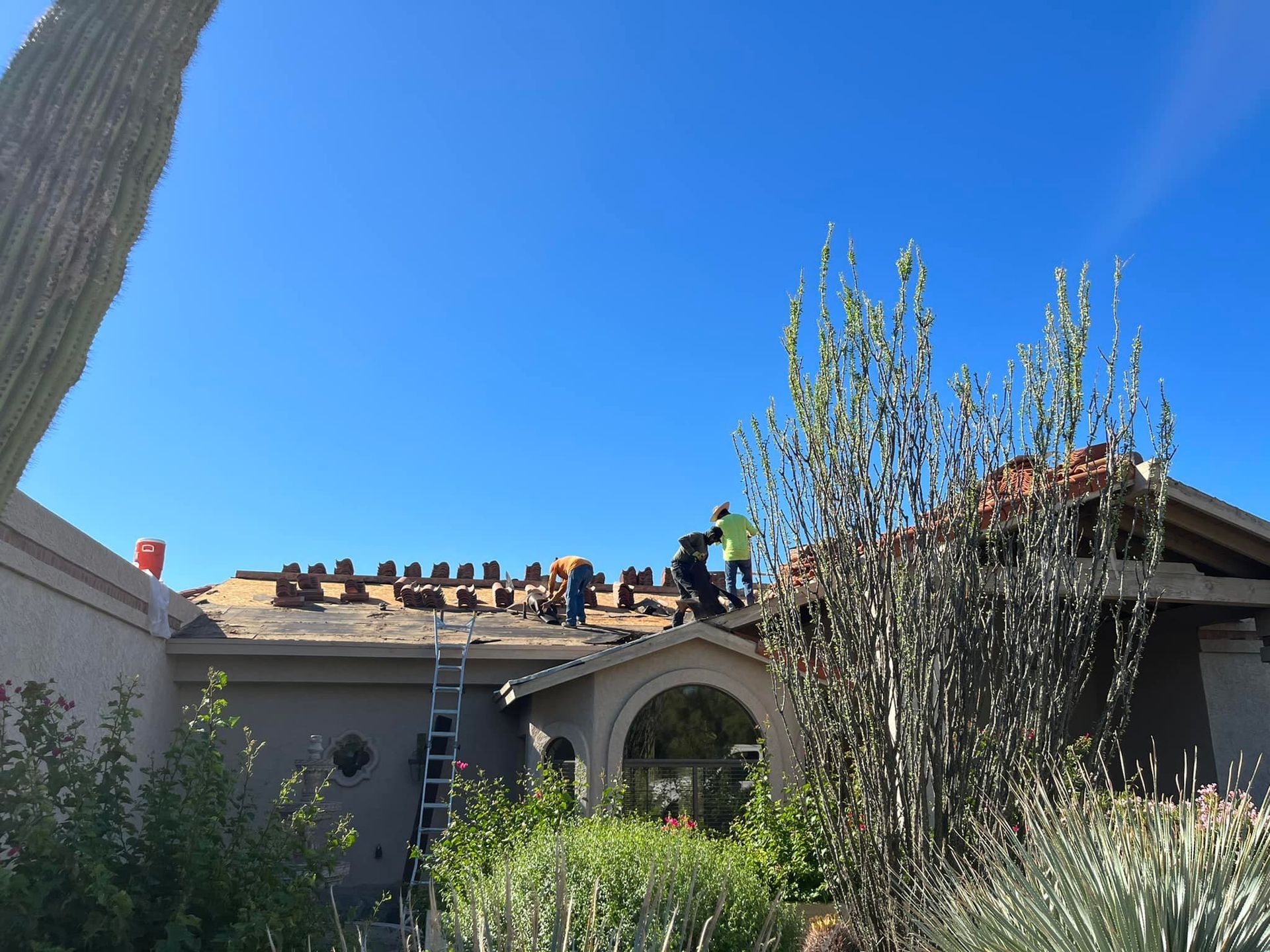 Roofers on a house with terracotta tiles under a blue sky, cacti in the foreground.