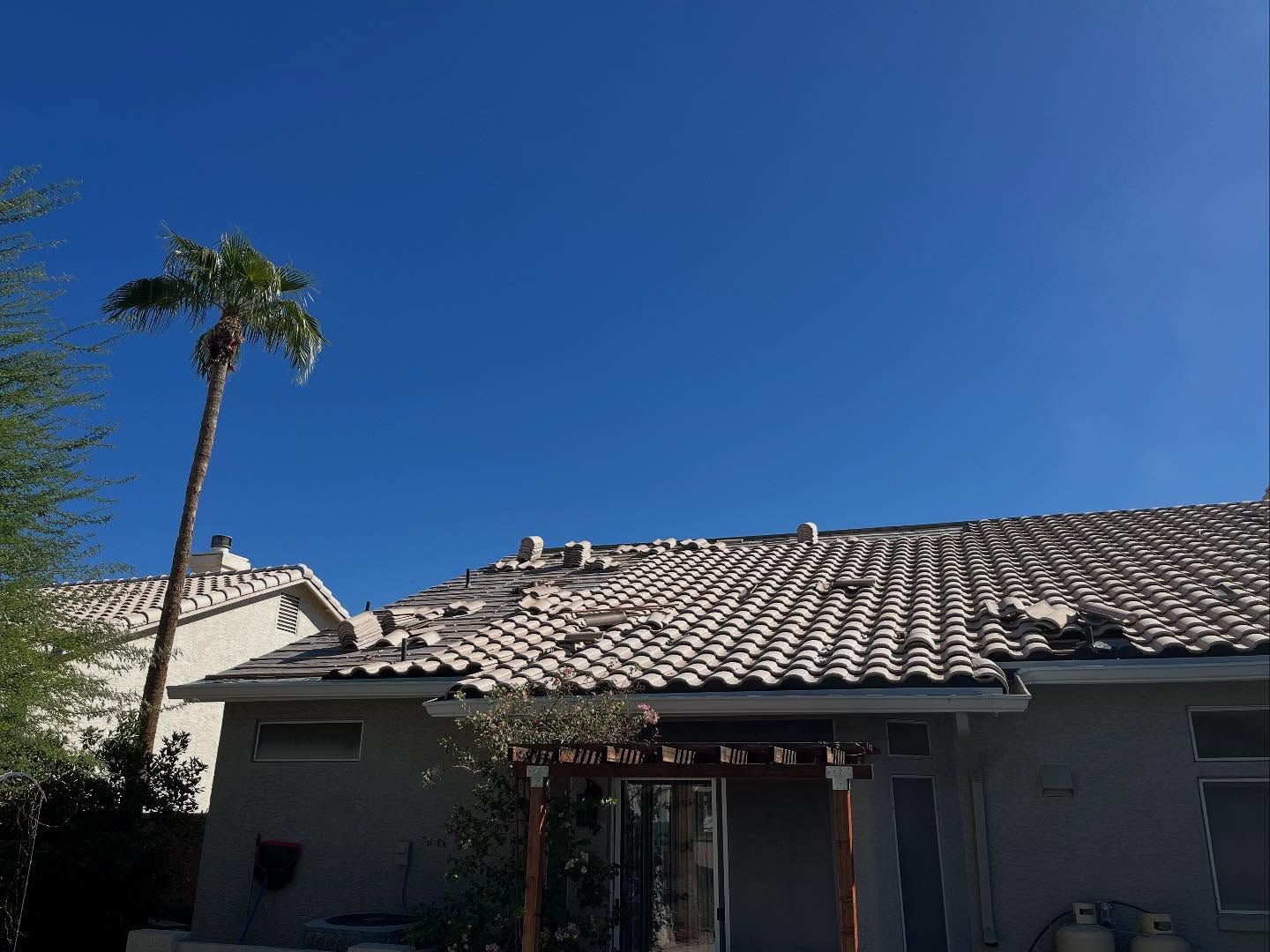 A house with a tiled roof, palm tree against a bright blue sky.