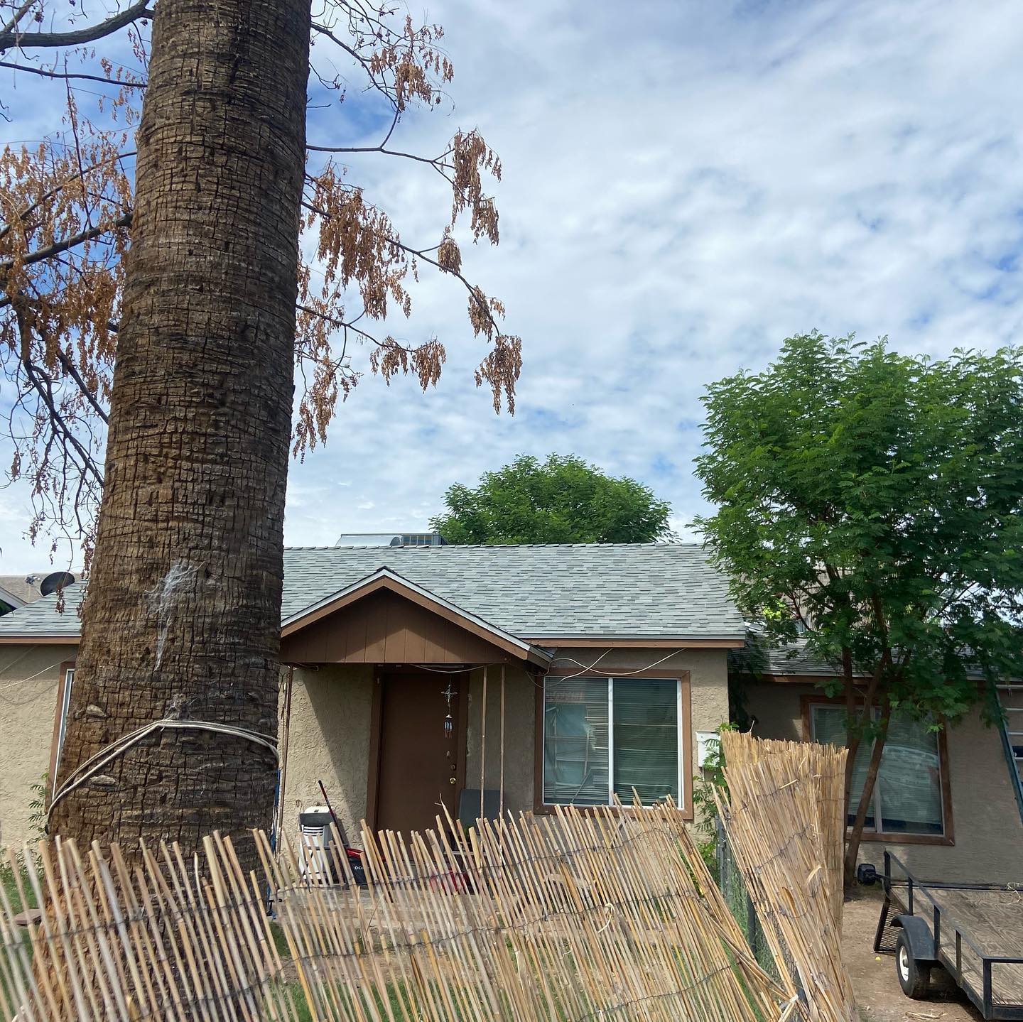Tan house with brown door, window, and tree in front of a fence, under a cloudy sky.