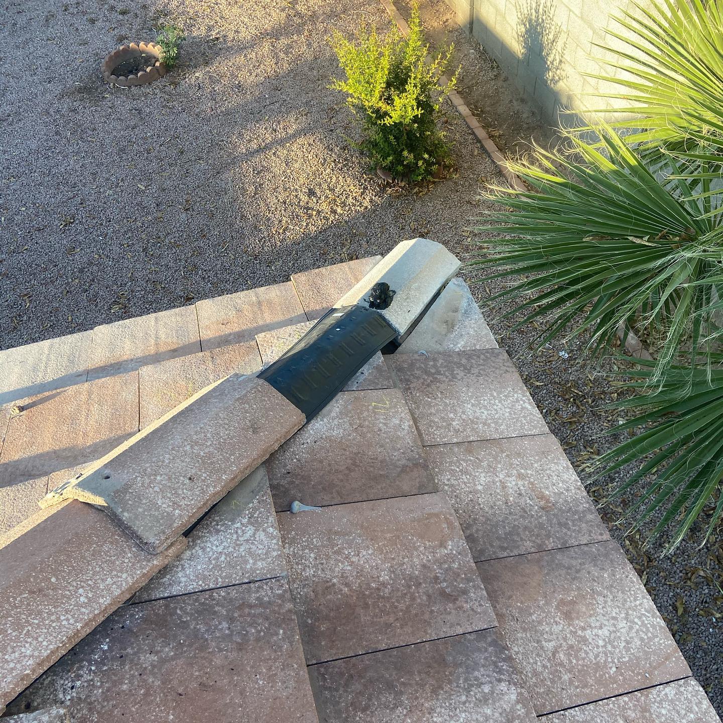 Roof with vent, surrounded by gravel, plants, and sunlight.