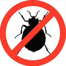 Bed Bug Exterminator — No Bed Bug Sign in Holmes, PA