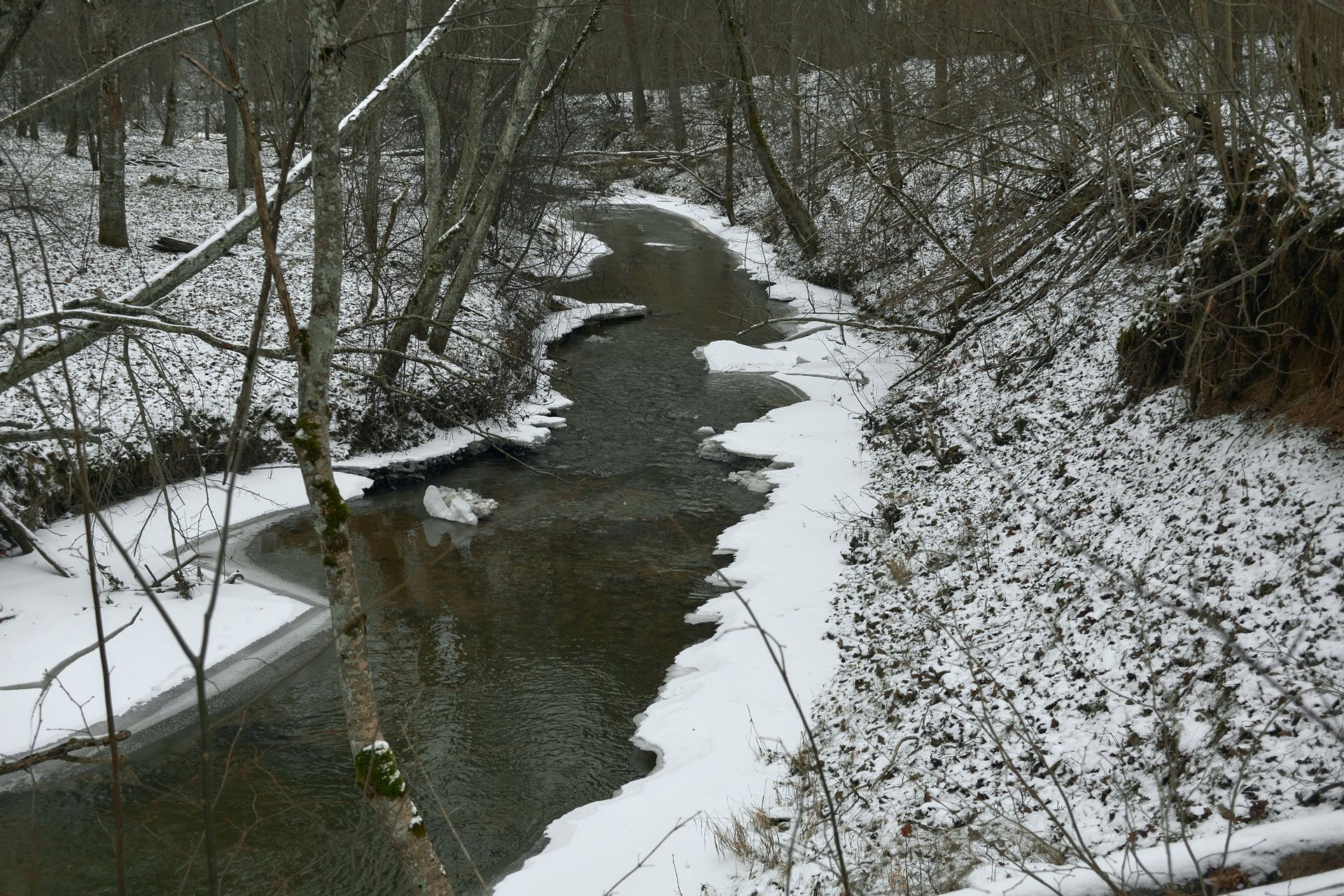 A Forest River — Man in White Helmet in Holmes, PA