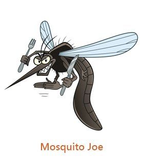 Mosquito Exterminator in Holmes, PA