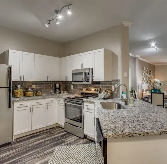 Stainless Steel Appliances