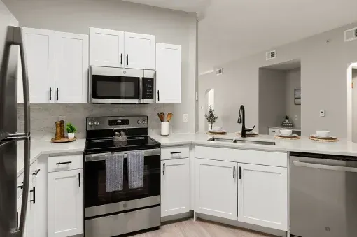 Kitchen with stainless steel appliances and shaker-style cabinets