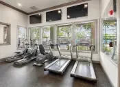 Thumbnail 19 of 27 - Gym with cardio machines and televisions