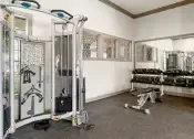 Thumbnail 20 of 27 - Fitness Center with Strength and Cardio Equipment
