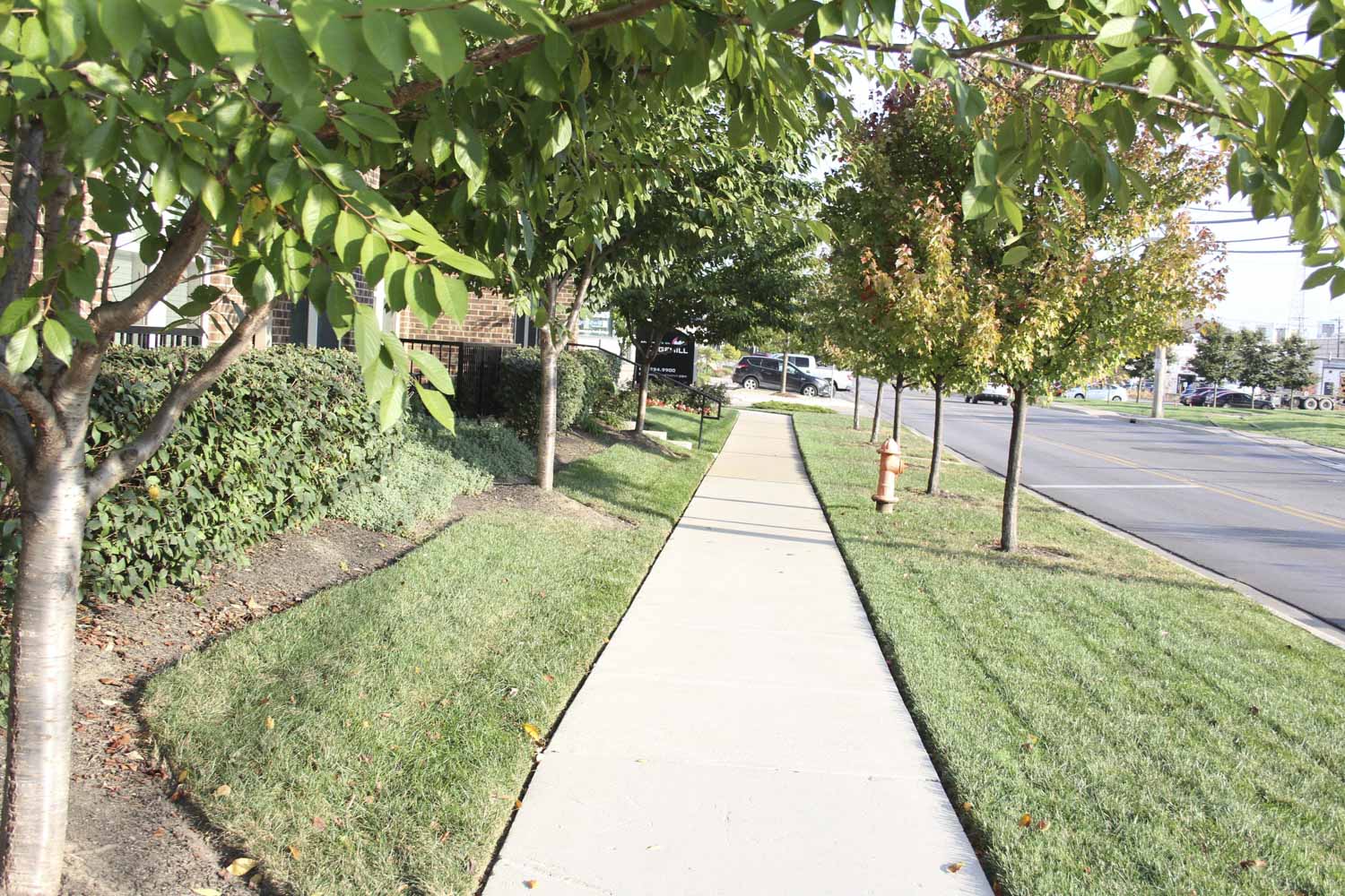 Sidewalk near Apartments on Edgehill