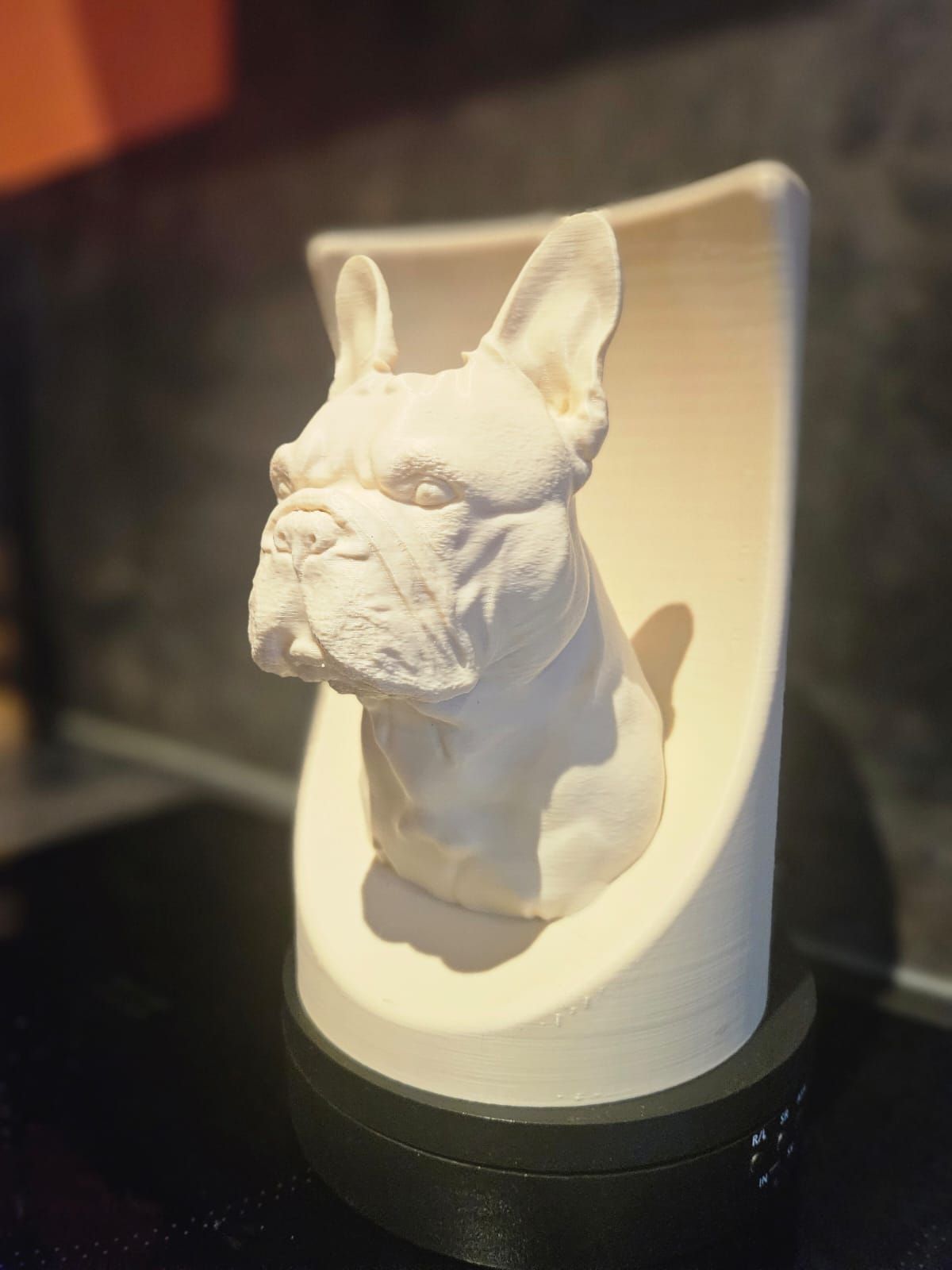 Een 3D-geprinte sculptuur van een witte Franse bulldogkop, gemonteerd op een gebogen achterpaneel, geplaatst op een donkere ronde sokkel.