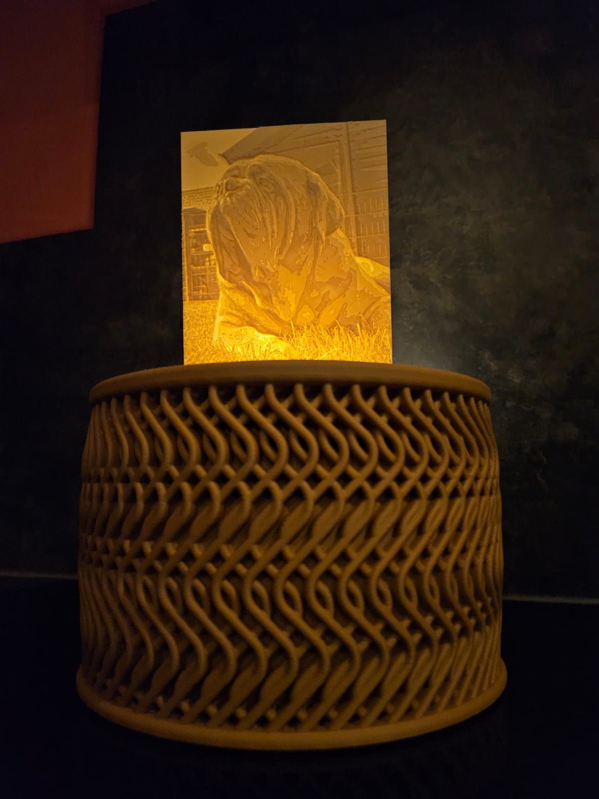 Een verlichte, 3D-geprinte lithofaan van een hond, rustend op een decoratieve, cilindrische, lichtbruine standaard in een donkere kamer.