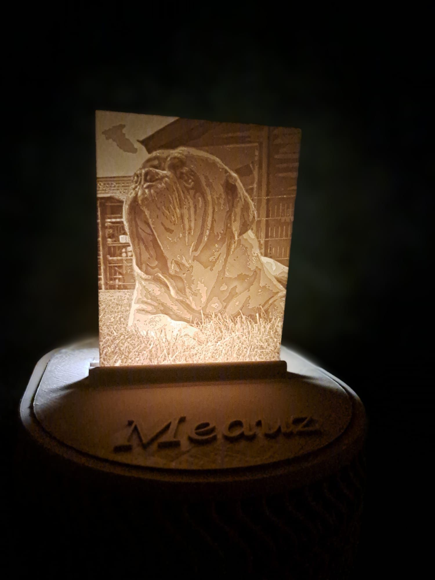 Een verlichte, rechthoekige lithofaan met een hond, gemonteerd op een sokkel met het woord 