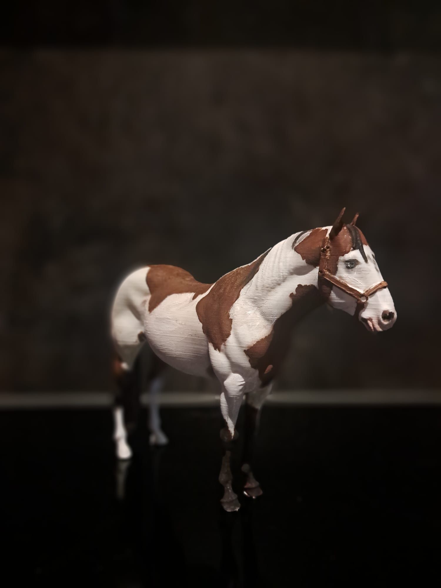 Een bruin-wit gevlekt paardje staat tegen een donkere, wazige achtergrond op een reflecterend oppervlak.