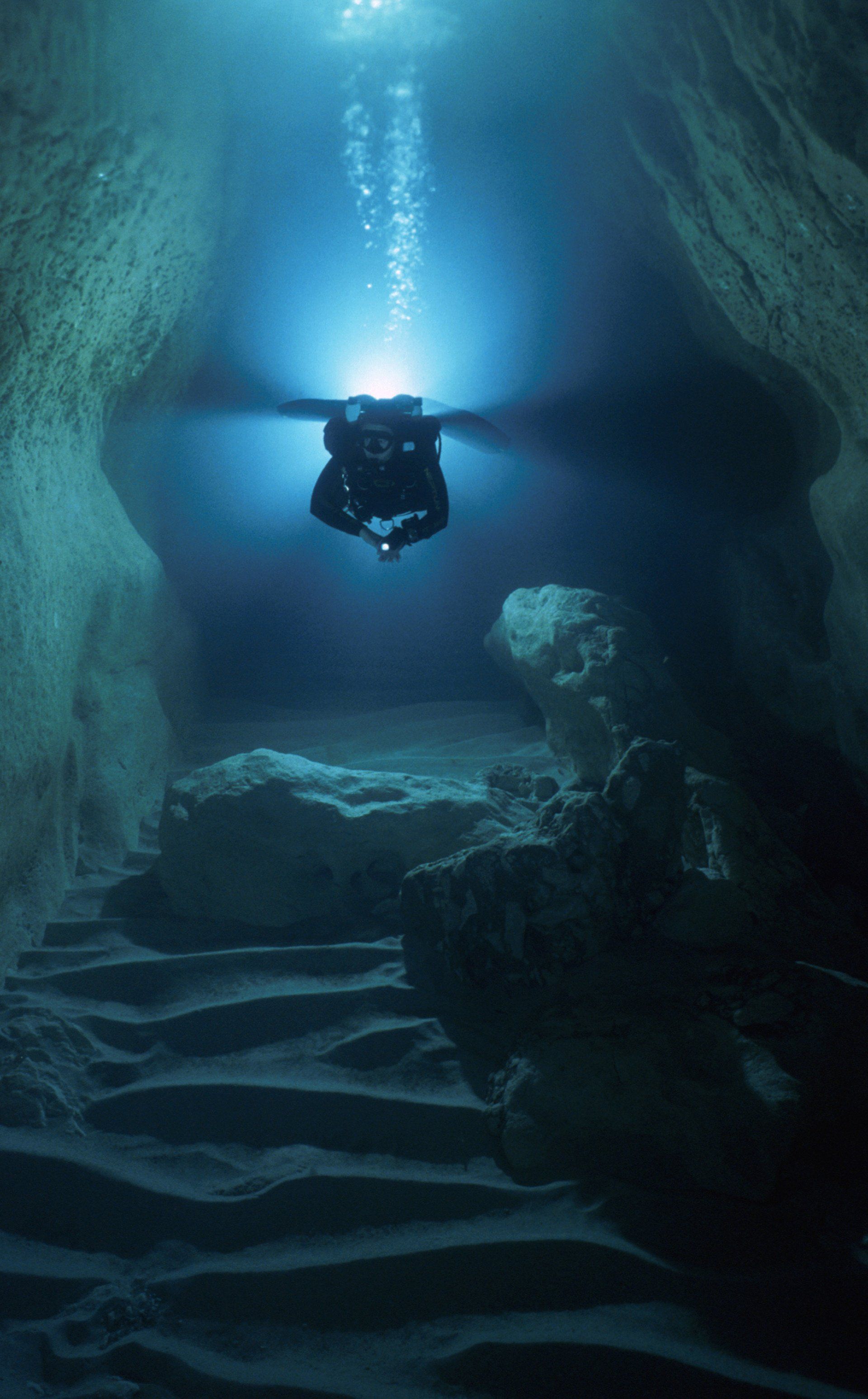 Credit: Conservation-Without-Borders.org