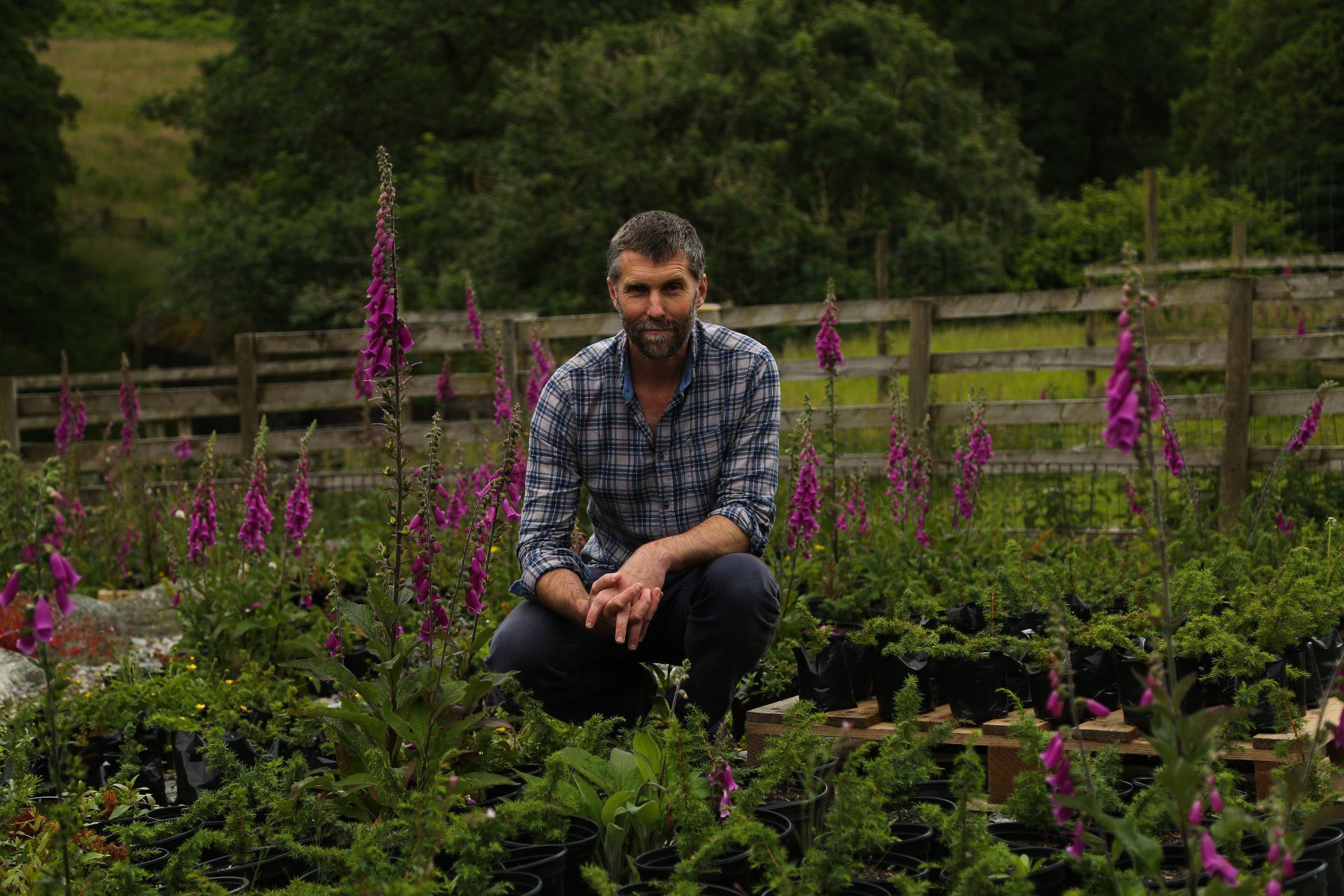 RSPB Haweswater: Tree Nursery