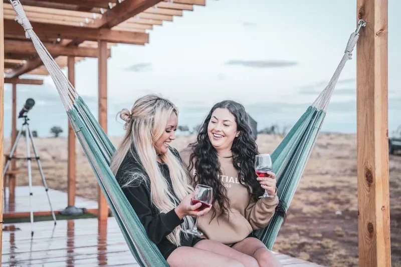 two women are sitting in a hammock holding wine glasses .