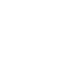 Mad Mike