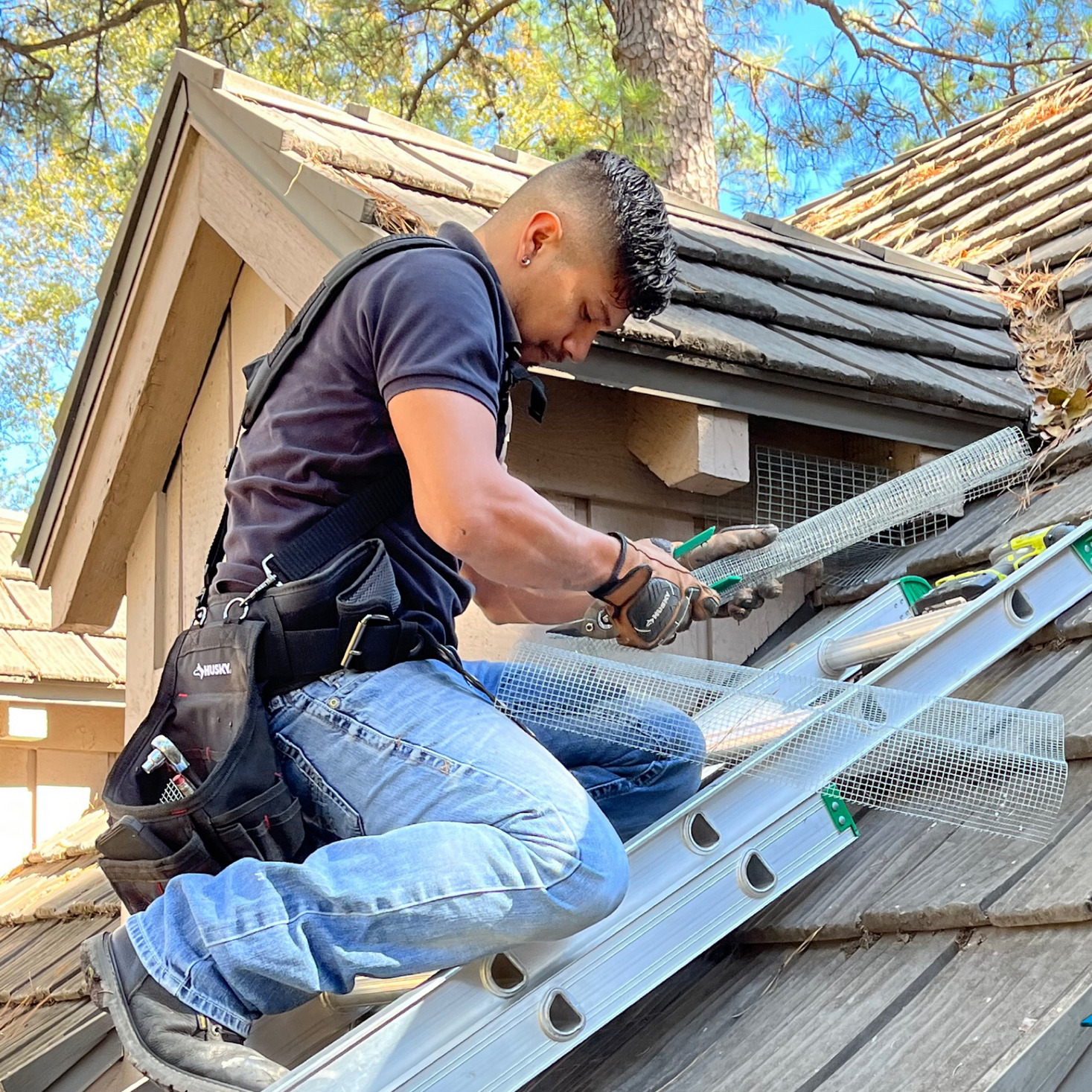 Nolan Wildlife Control Exclusion Services