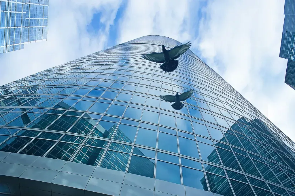 Nolan Wildlife Control, Bird Removal