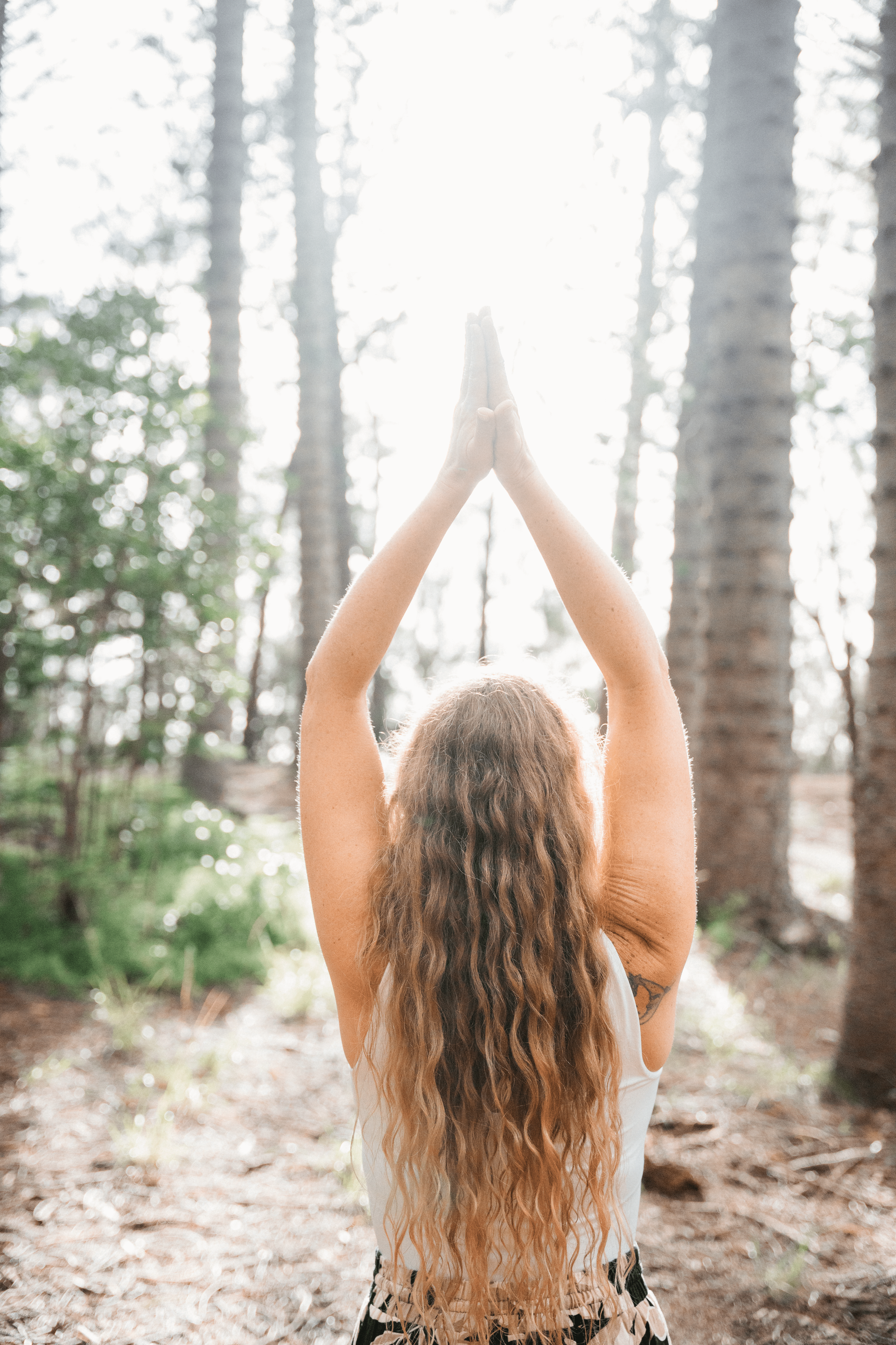 reiki master standing in a forest facing the sun with her hands clasped in prayer above her head