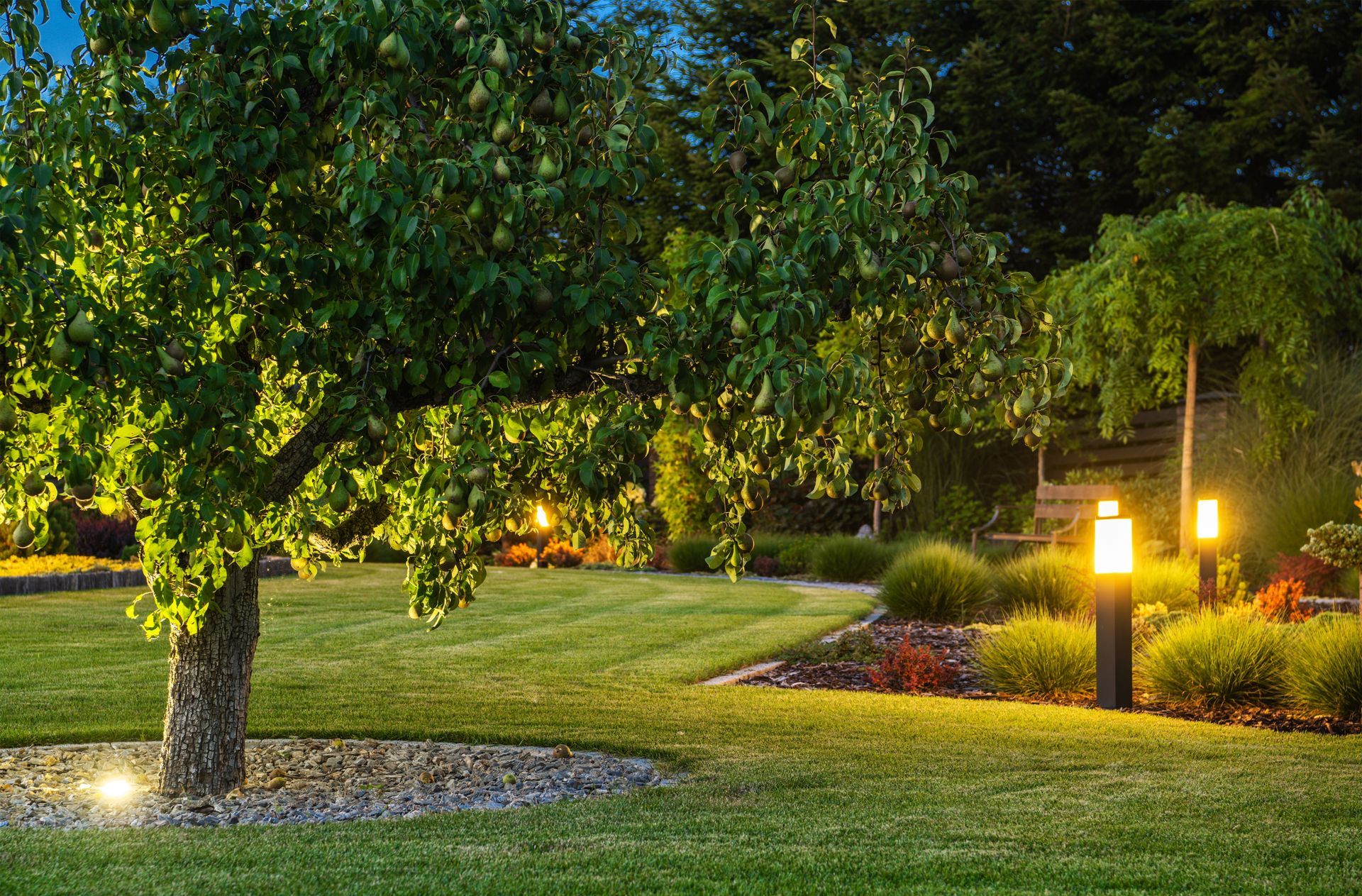 A lush, green garden lawn illuminated at twilight by landscape lighting around a tree and garden beds.