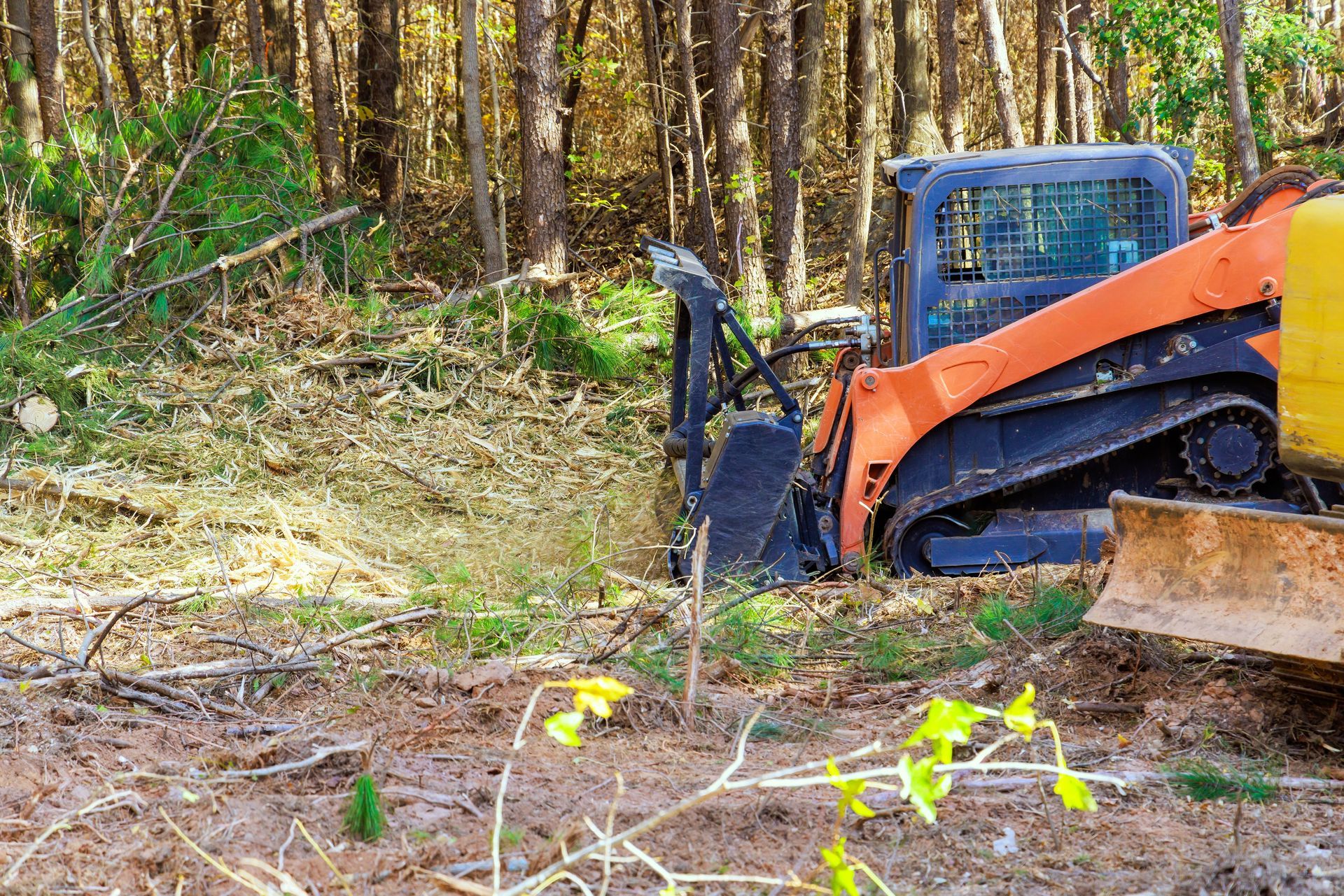 A compact track loader with a forestry mulcher attachment clearing brush in a wooded area.
