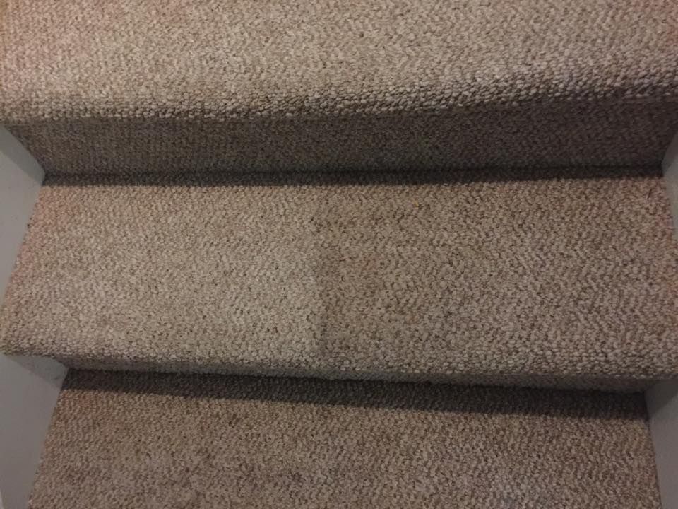 A close up of a set of stairs with a carpet on them.