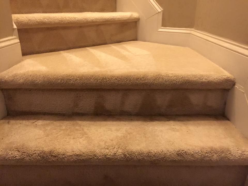 A close up of a set of stairs with carpet on them.