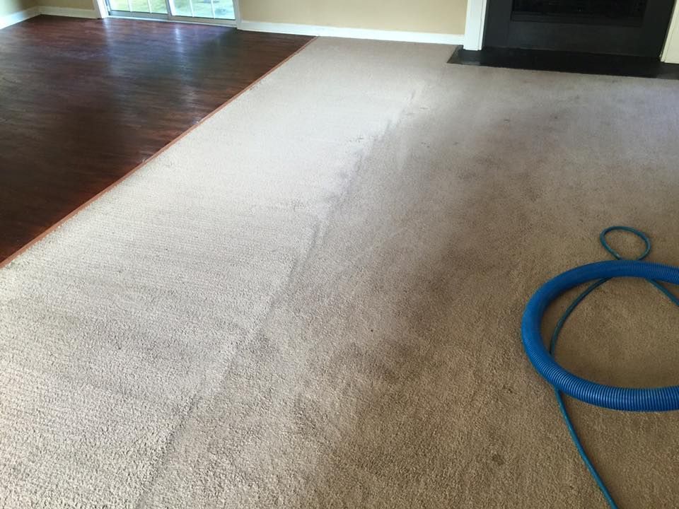 A living room with a carpet and a fireplace.