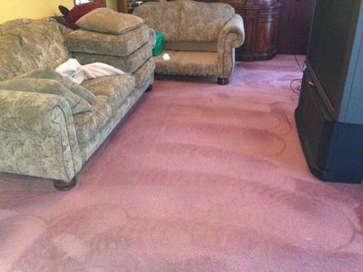 A living room filled with furniture and a purple carpet.