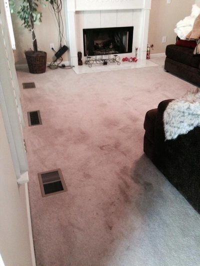 A living room with a fireplace and a couch.