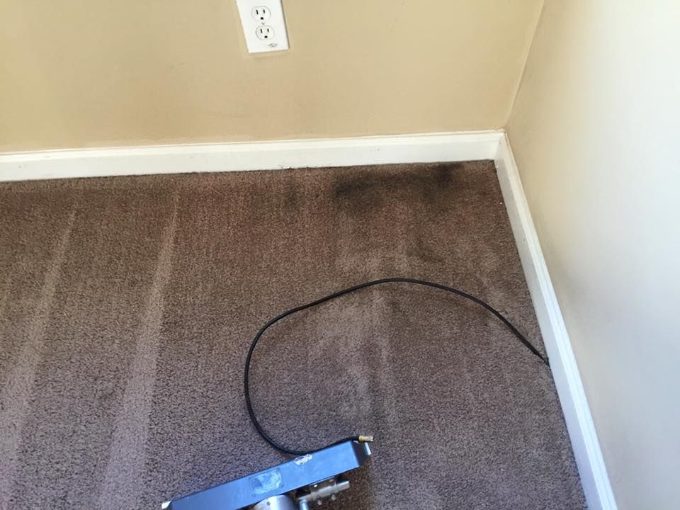 A vacuum cleaner is sitting on a brown carpet in a room.