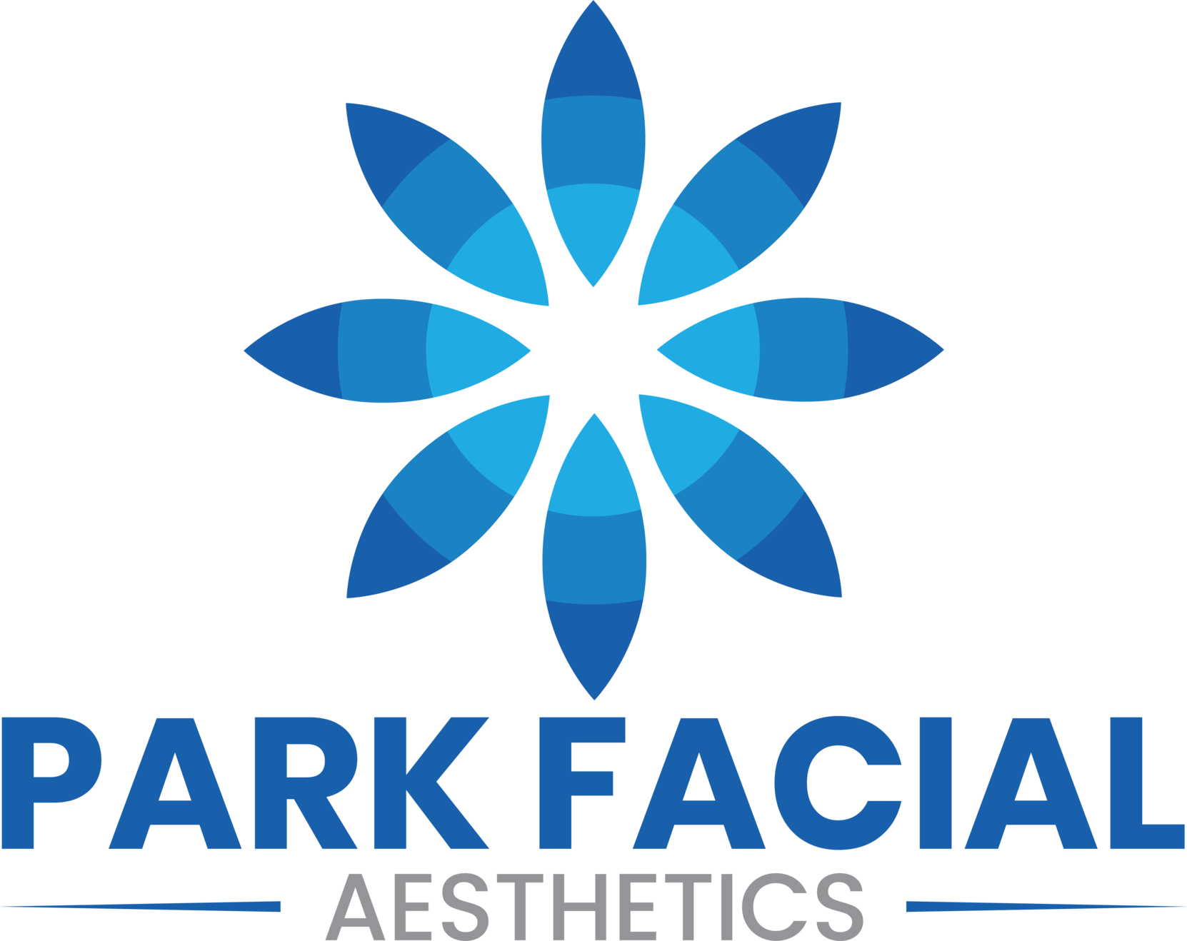Park Facial Aesthetics logo