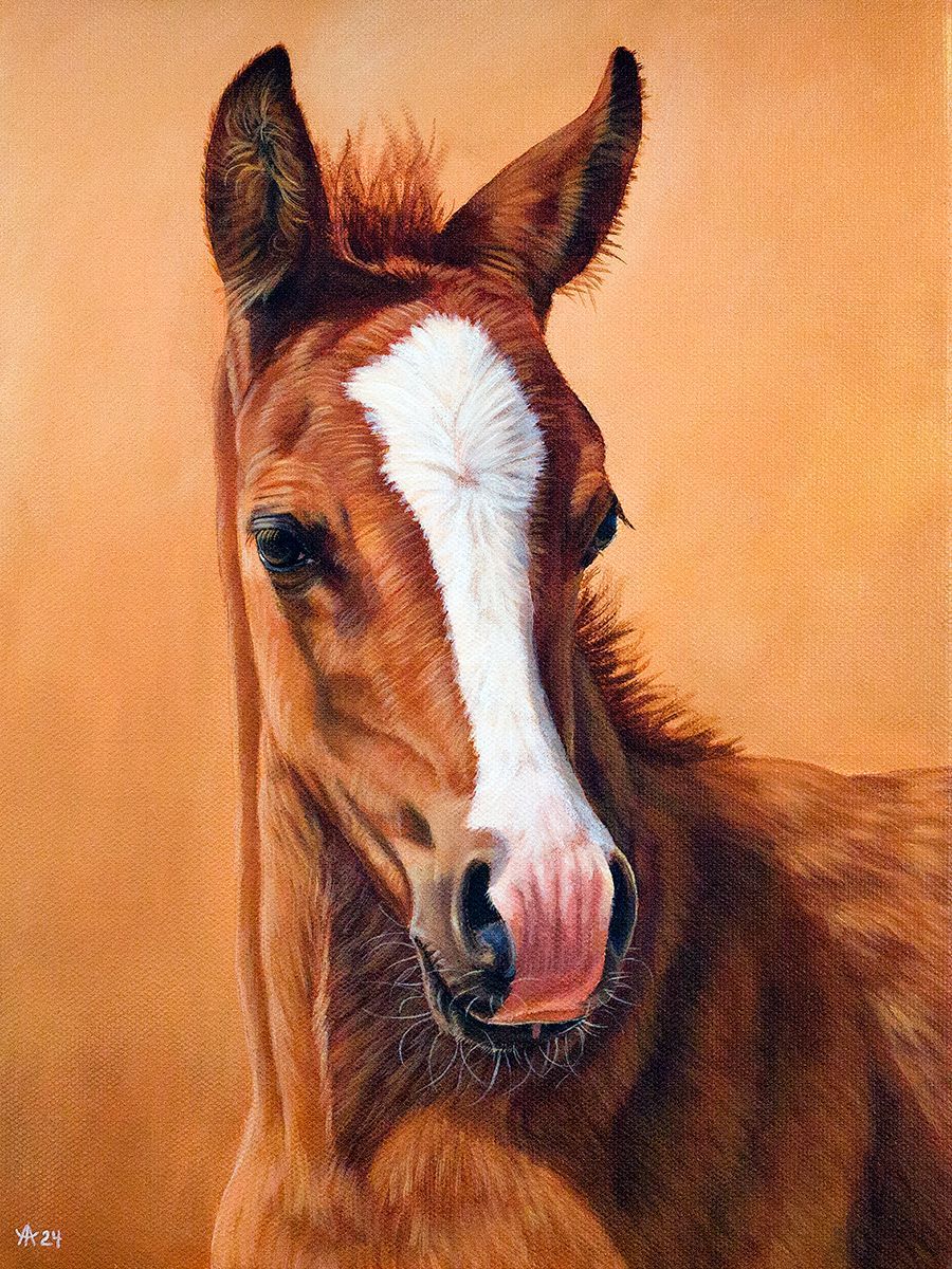 Horse