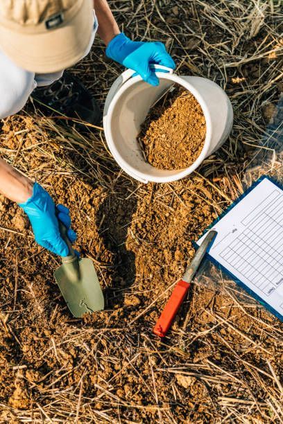 A person is digging in the dirt with a shovel and a bucket of dirt.