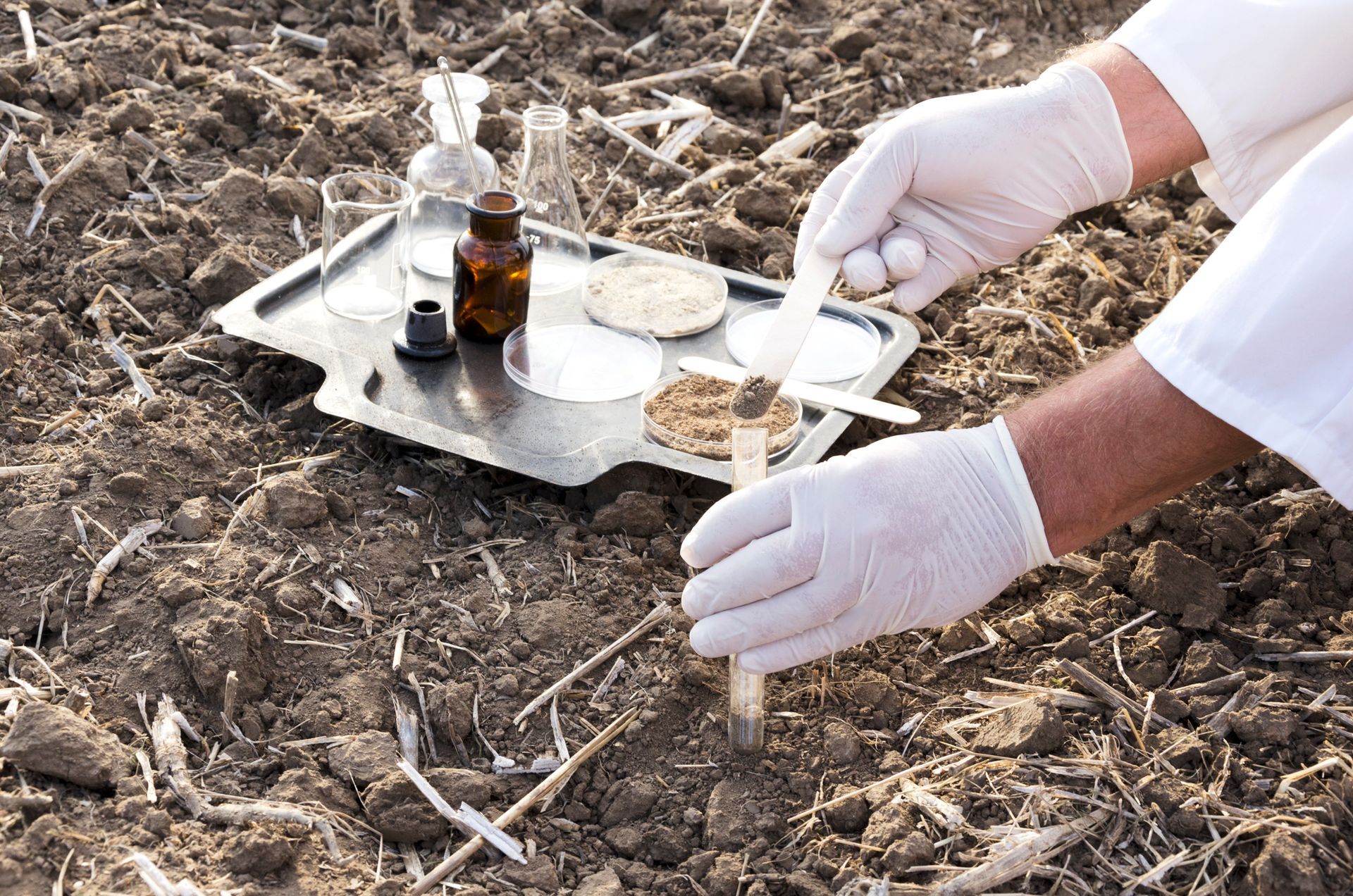 Person with gloves takes a sample of the soil to take and examine in a silver tray.