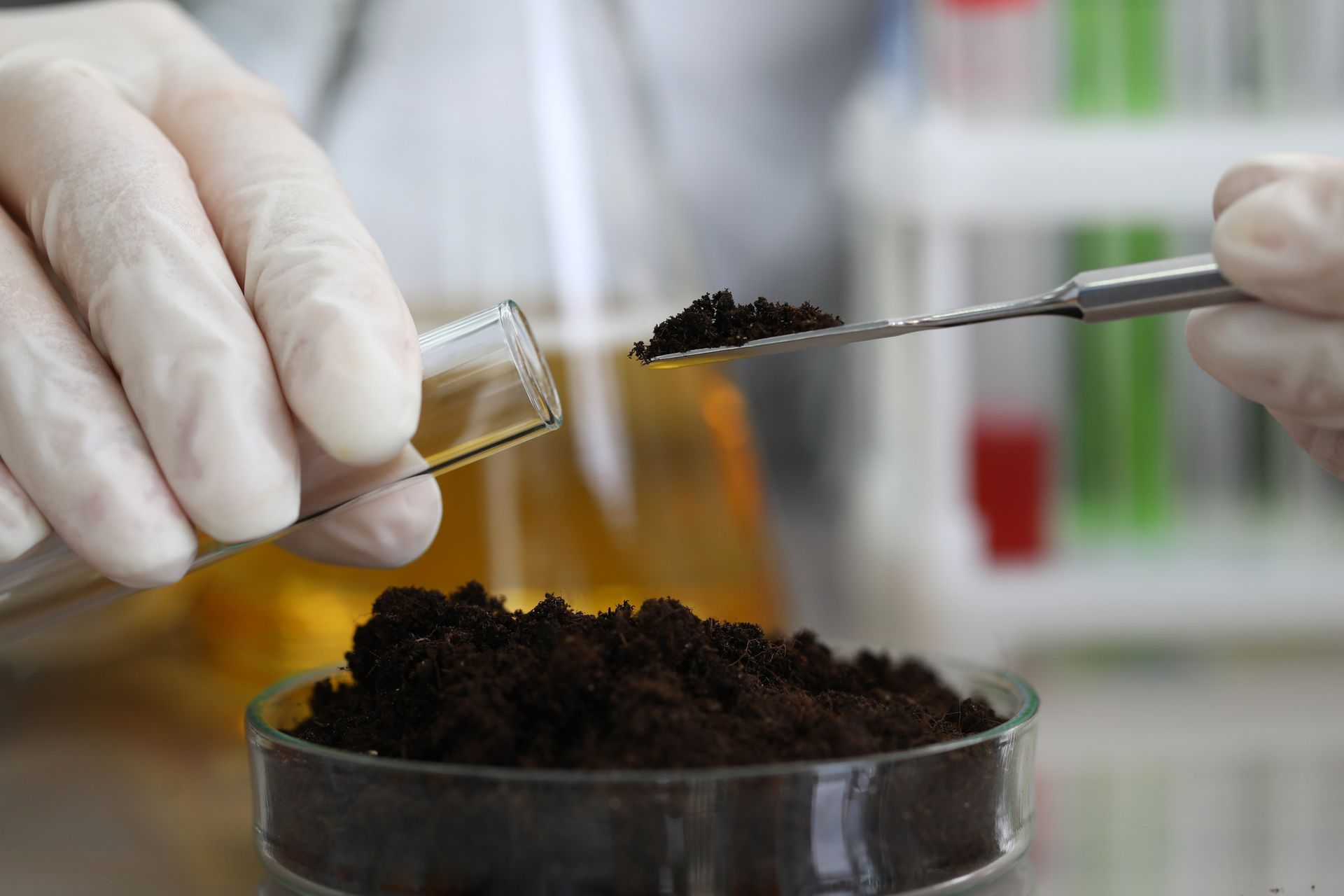 A person is pouring soil into a petri dish with a spoon.