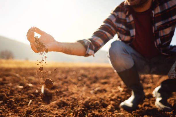 An unrecognizable farmer working in the field - Soil Testing Kallangur
