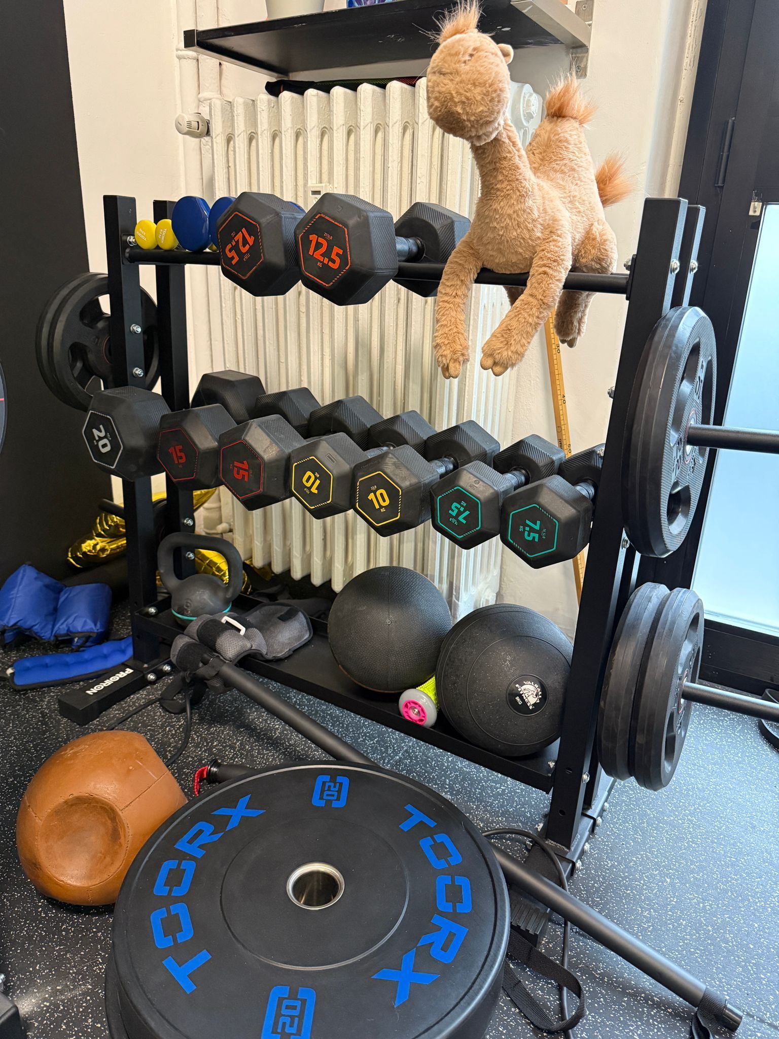 Una donna tiene in mano un manubrio in palestra.