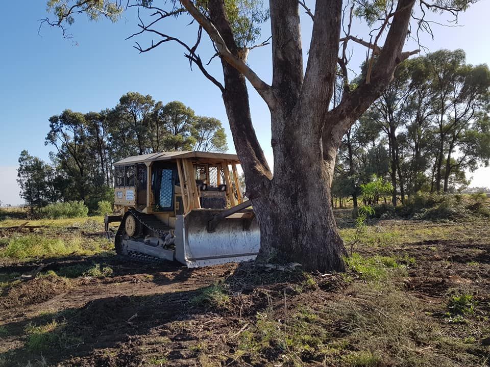 Old Bulldozer Parked Under a Large Tree in a Dry Rural Field — Oakleigh Earthmoving in Toowoomba, QLD