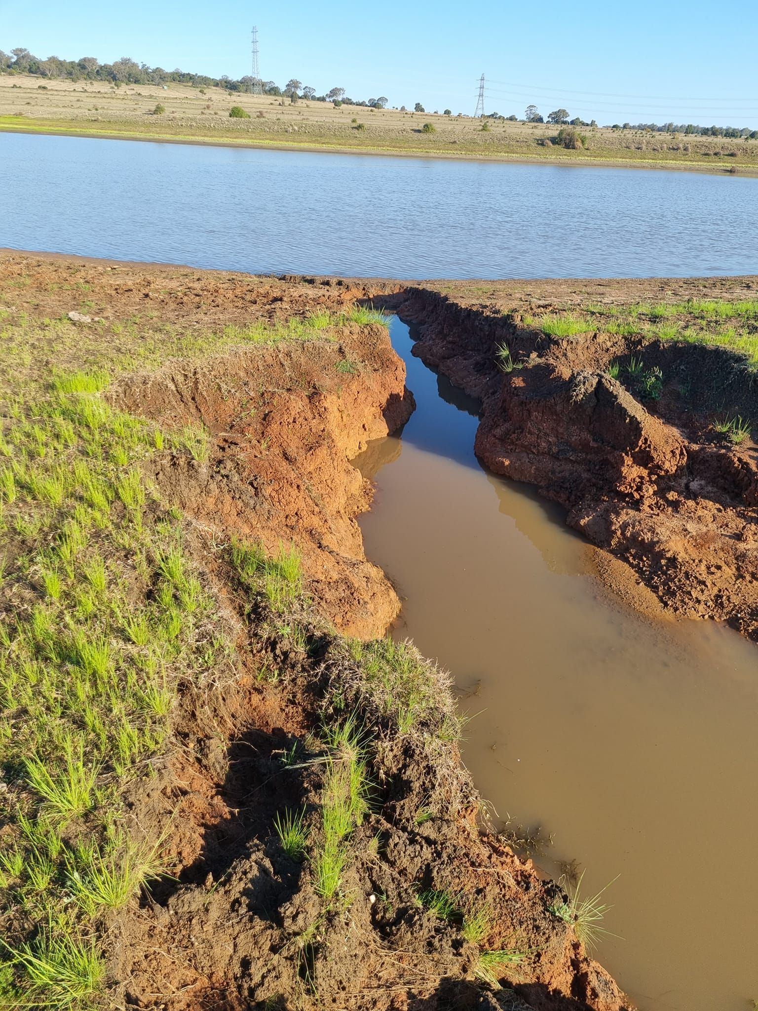 A Muddy Stream Cuts Through Grassy Red Earth Into a Calm Blue Lake Under a Clear Sky — Oakleigh Earthmoving in Warwick, QLD