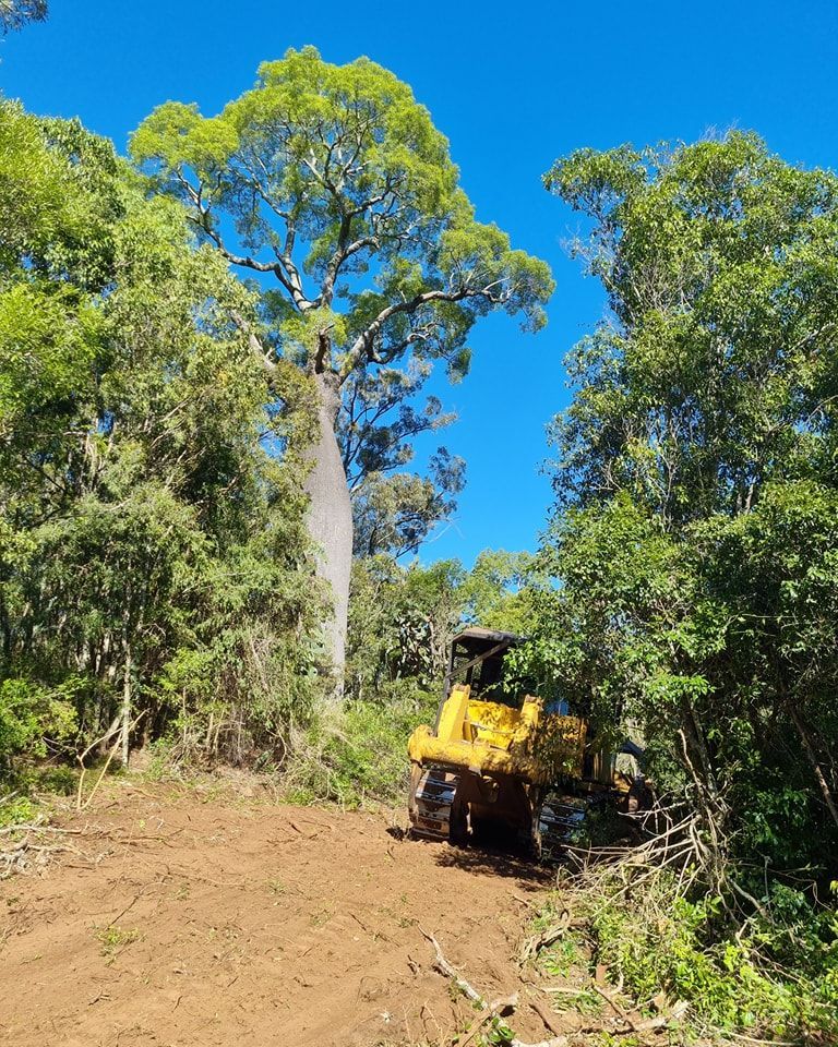 Yellow Bulldozer Clearing a Dirt Path Through Dense Green Forest — Oakleigh Earthmoving in Cotswold Hills, QLD