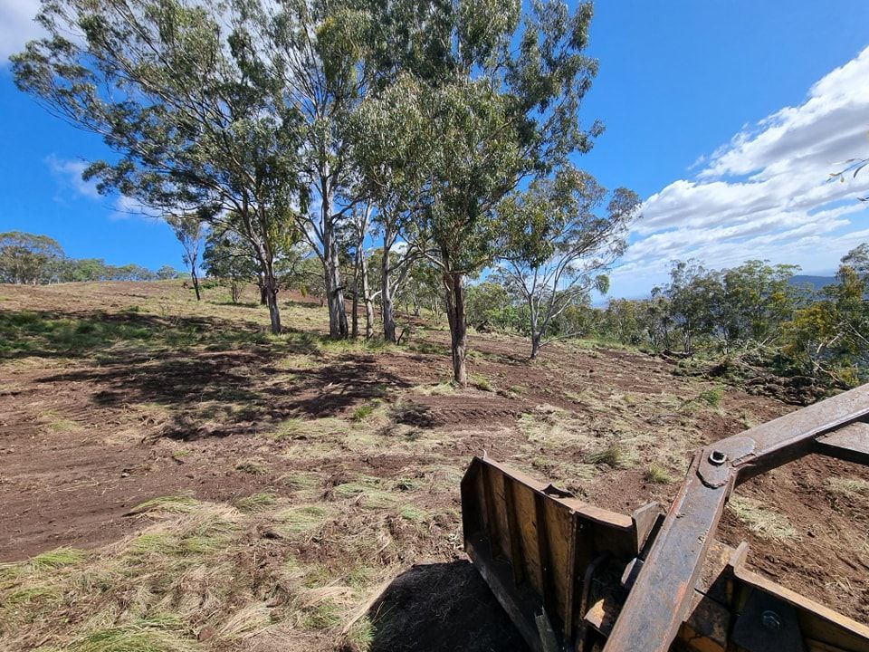 Cleared Hillside With Scattered Trees, Viewed Past a Rusted Farm Machine — Oakleigh Earthmoving in Warwick, QLD