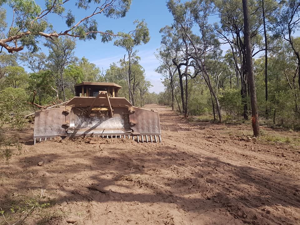 Bulldozer Grading a Dirt Road in a Wooded Area Under a Clear Sky — Oakleigh Earthmoving in Warwick, QLD